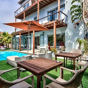 book here